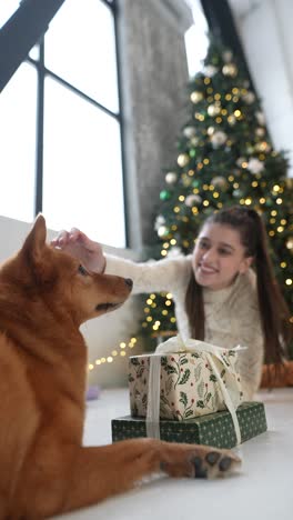 feliz navidad con el perro y la mujer.