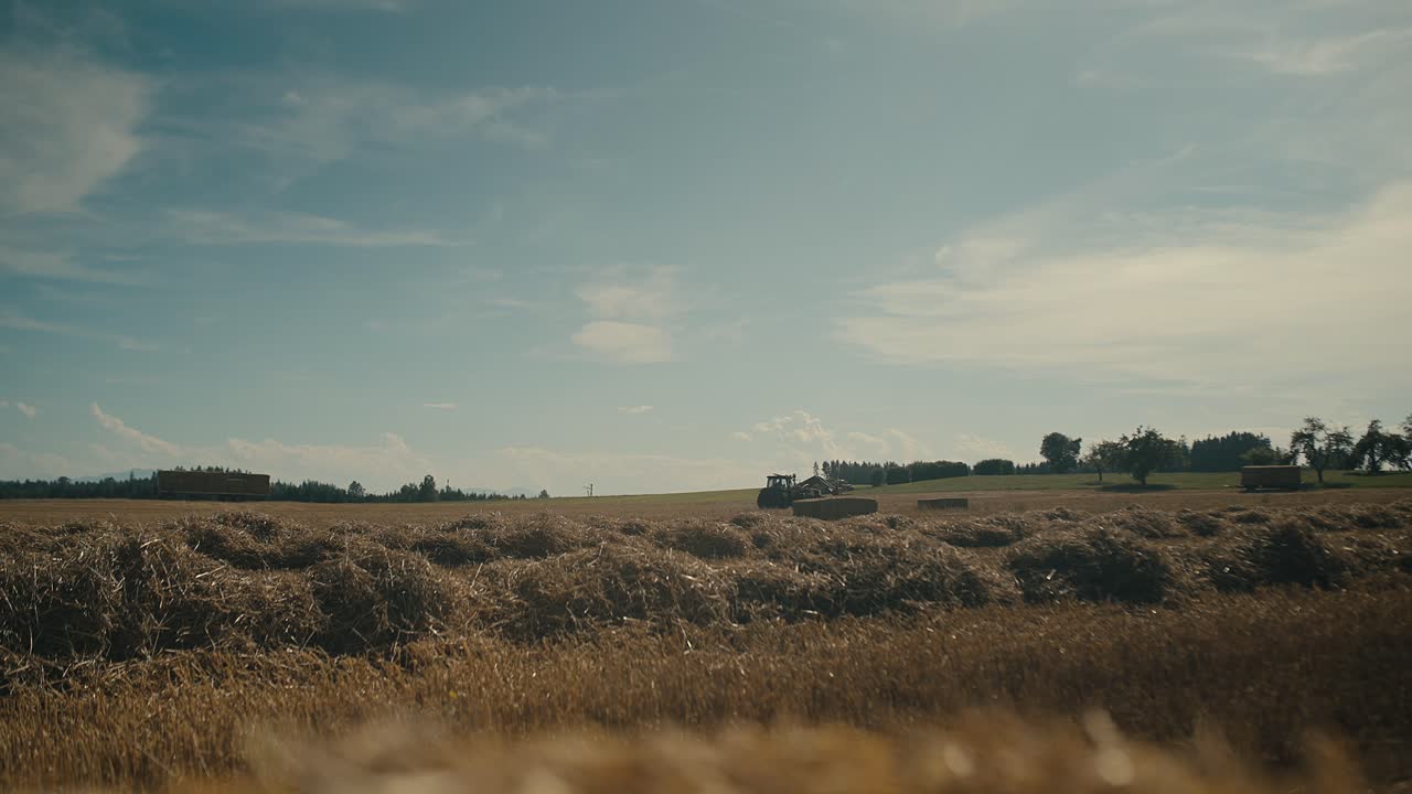 hora de oro la luz del sol baña un campo de trigo sereno con balas y tractor en la distancia, tiro amplio