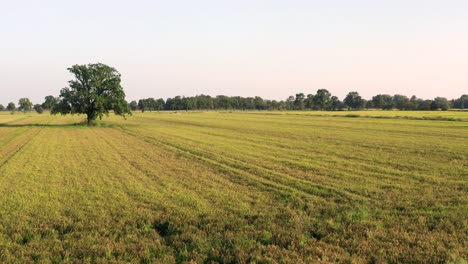 Puesta-De-Sol-Sobre-Campos-De-Arroz-Al-Norte-De-Italia,-Toma-Aérea