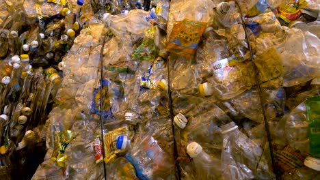 botella para mascotas lista para ser reciclada en un centro de clasificación de basura.