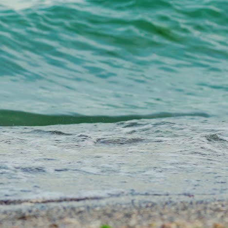 wave of the sea on the sand beach. big sea wave. slow motion