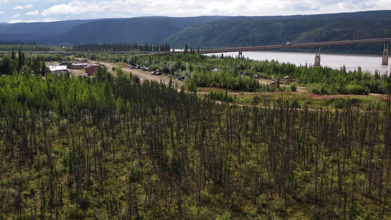 drone volando sobre el bosque muerto de alaska sin hojas hasta el campamento del río yukon durante el verano cerca del puente del río yukon conocido como el e