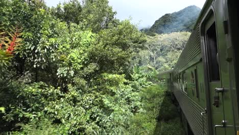 Vista-Trasera-Del-Tren-Turístico-En-La-Selva-Tropical-Atlántica-En-Curitiba,-Brasil,-Camino-A-Morretes