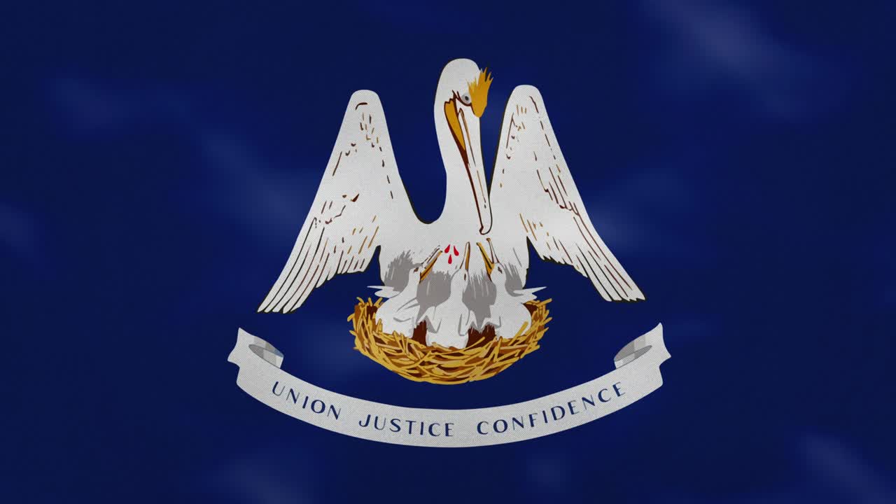 루이지애나 은 발 직물 파동, 배경 루프