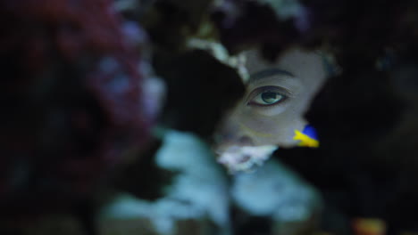 Mujer-Mirando-Peces-Tropicales-En-El-Tanque-Del-Acuario-Observando-La-Colorida-Vida-Marina-Nadando-En-El-Arrecife-Corel-Observando-El-Ecosistema-Marino