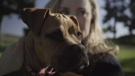 woman and puppy in the park in cinematic slow motion