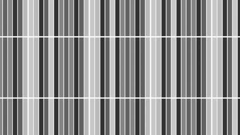 graphic pattern in black and white with stroboscopic and hypnotic effect, while increasing in size and then reducing it.