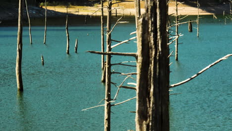 Verrottete-Holzpfähle-über-Dem-See-In-Eagle-Hollow-Cave,-Arkansas,-Vereinigte-Staaten