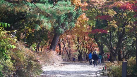 los coreanos con máscaras protectoras visitan el jardín del palacio de changgyeong para ver las coloridas hojas de los árboles de otoño