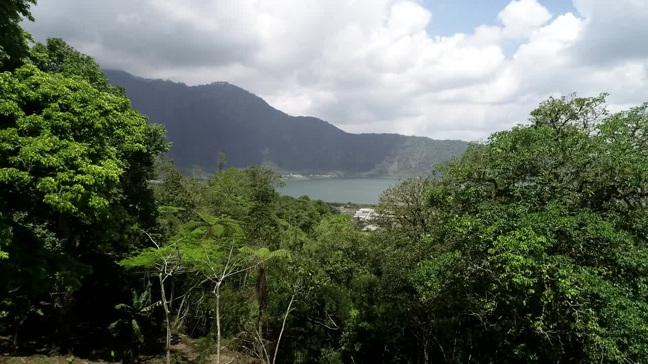 Scenic lake and mountains behind dense green forest with scattered houses and bright daylight clouds creating peaceful natural landscape outdoors