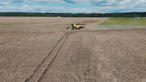 25 august 2024 penkule, latvia - aerial view of combine harvester at work. summer field work on the farm. top view of combine gathering corn or wheat crop.