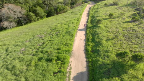 Antena-De-Una-Joven-Corriendo-Por-Un-Sendero-Forestal-Al-Atardecer