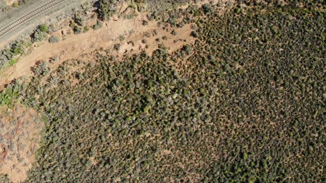 Drone-overview-of-vegetation-revealing-train-train-track-next-to-a-road-with-a-tractor-and-cars-driving-past