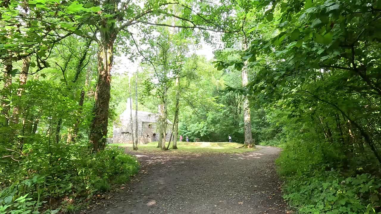 울창 한 숲 의 길 을 걸어다니는 것