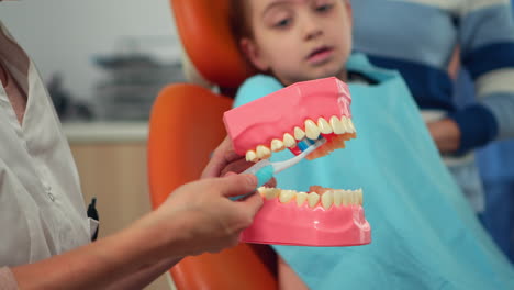 dentista pediátrico que muestra la higiene dental correcta utilizando una maqueta de esqueleto