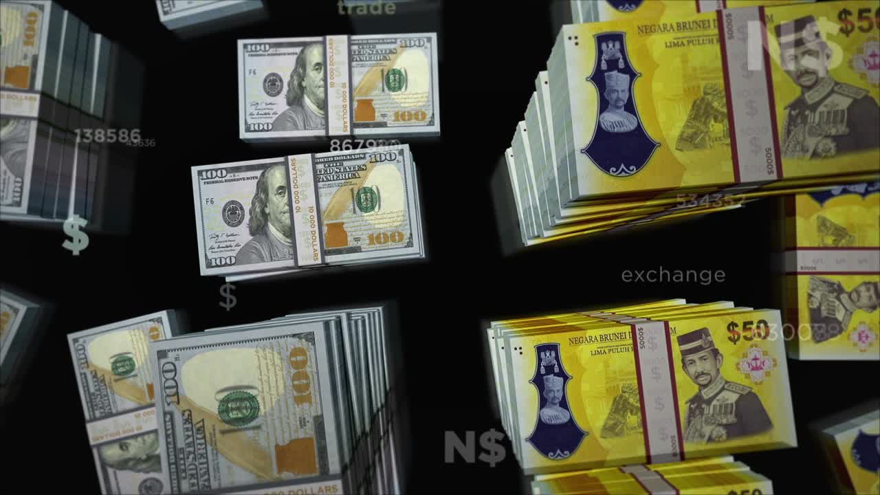 미국 달러와 브루나이 달러 화폐 교환 루프 애니메이션