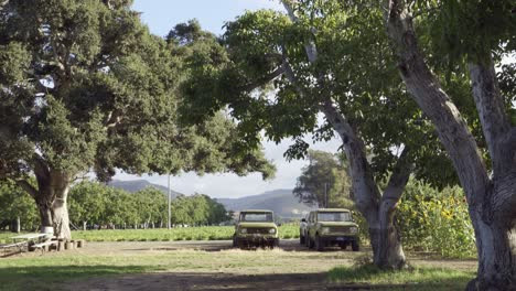 dolly shot of two old international scout vehicles parked on a ranch in the lompoc valley california