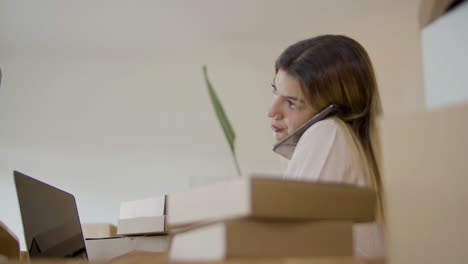 young female startup owner consulting client on phone