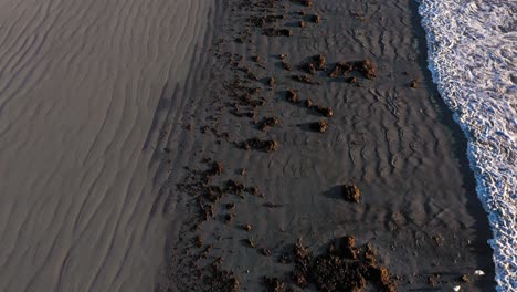 Aerial-TOP-DOWN-flying-over-a-group-of-seagulls-in-seaweed-strewn-on-a-grey-sand-beach-as-a-wave-comes-in