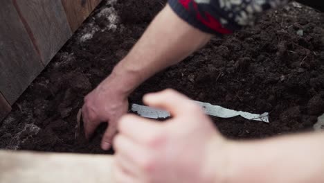 Gärtner-Legt-Streifen-Aus-Geschreddertem-Papier-Auf-Gartenerde,-Um-Feuchtigkeit-Zu-Speichern-Und-Nährstoffe-Hinzuzufügen,-Wenn-Es-Verrottet