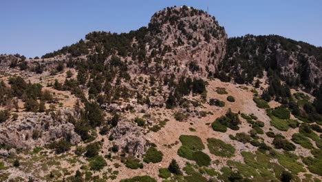 árboles y vegetación que crecen en el acantilado rocoso de la montaña en verano