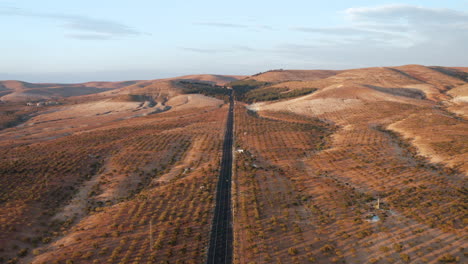 Panoramablick-Mit-Asphaltierter-Straße-Auf-Riesigen-Pistazienplantagen-In-Der-Nähe-Von-Gaziantep-Bei-Sonnenuntergang-In-Der-Türkei