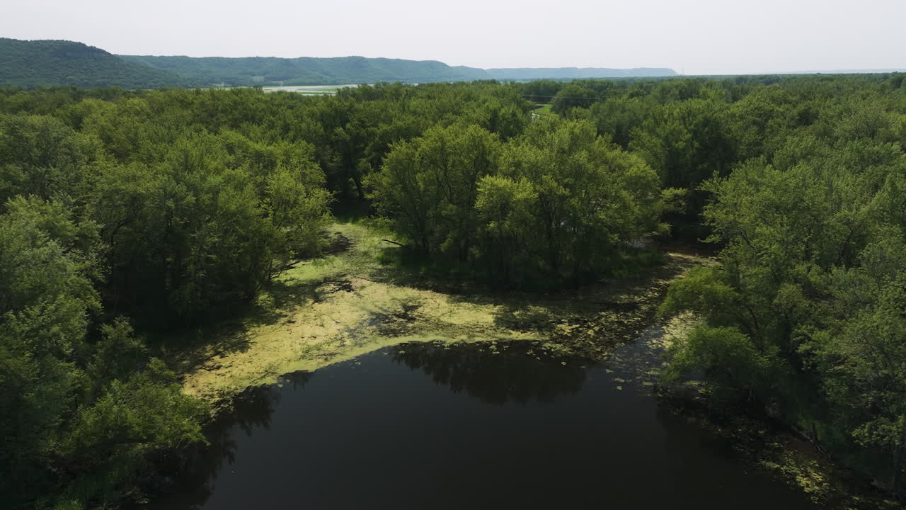 Aerial drone flying above floodplain forest in Nelson-Trevino National Wildlife