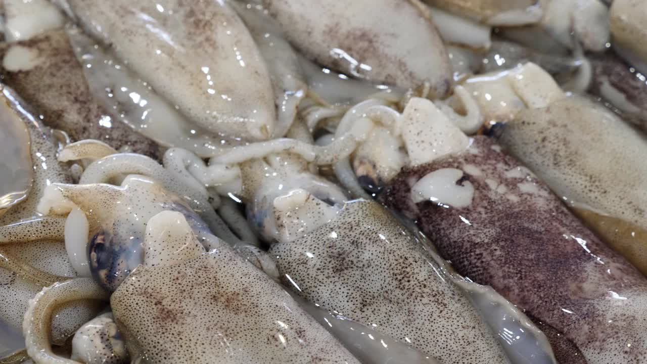 primer plano de la exhibición de calamares frescos en el mercado de mariscos, toma panorámica