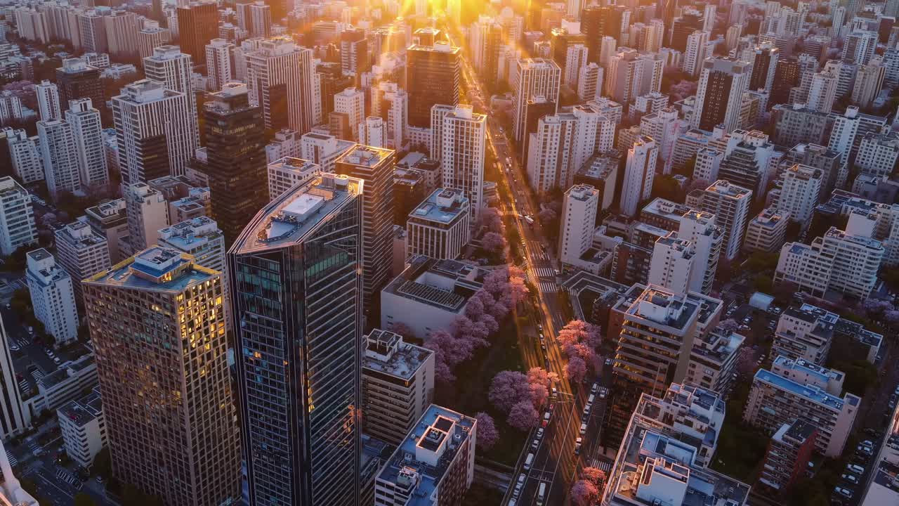 Vista aerea di un paesaggio urbano con ciliegi in fiore all'ora d'oro