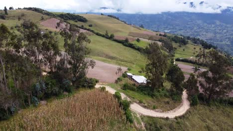 flying over mais field in the mountains of colombia