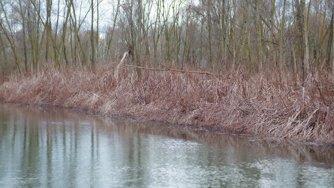 мужчина рыбачит на берегу озера в лесу 11
