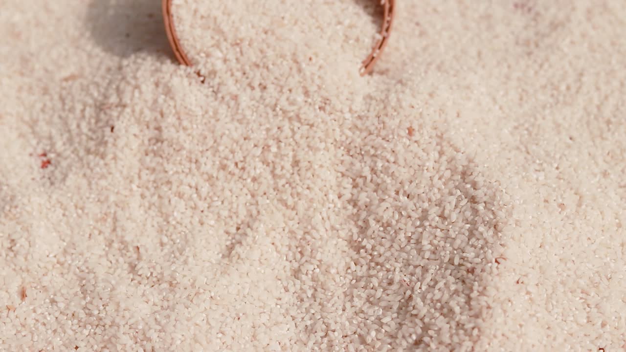 낮 에  ⁇  각도 에서 대나무 그 ⁇  에  ⁇