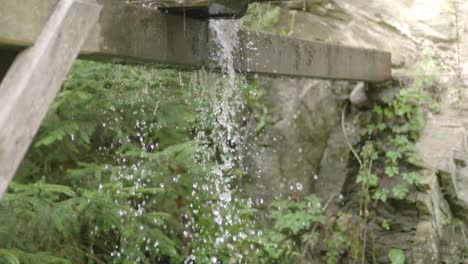 agua que baja de un tablón de madera de un molino histórico con un bosque borroso en el fondo