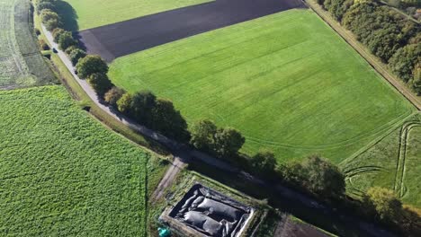 Country-road-in-The-Netherlands,-Drenthe