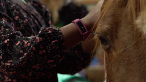 Black-girl-brushing-a-horse's-mane-close-up-shot