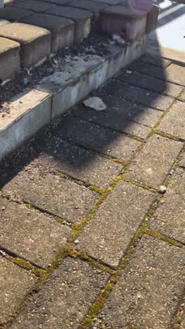 aged pavement: close up of worn and damaged paving stones in riga
