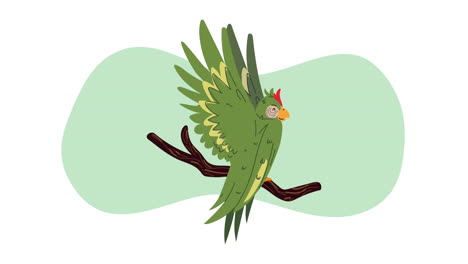 animado de pájaros exóticos y loros