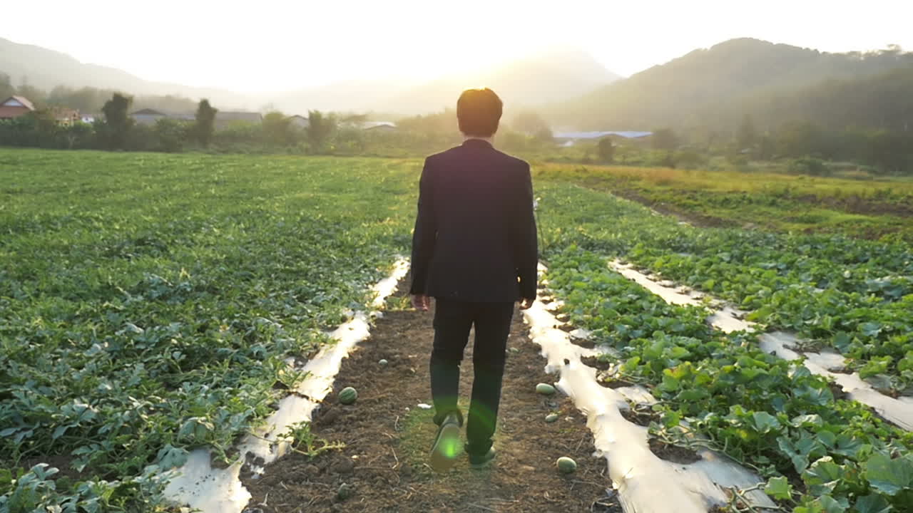 Young Business Man Walking In Melon Field With Sunset