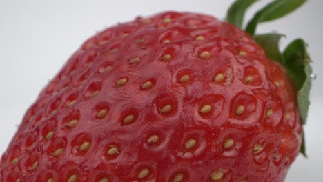 macro detail of dewy strawberry surface. probe lens