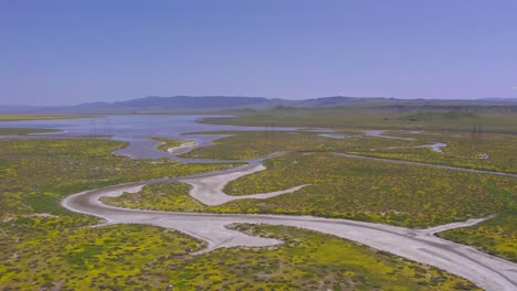 aerial view of soda lake in carrizo plain national monument during the california wildflower superbloom