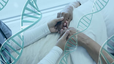 animation of dna strands over diverse female doctor and patient holding hands in hospital