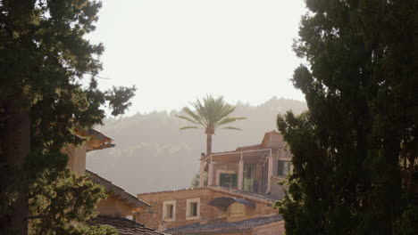 houses in deía with the sun backlighting the scene, a palm tree standing in the center, framed by tall trees, creating a picturesque spanish town scene