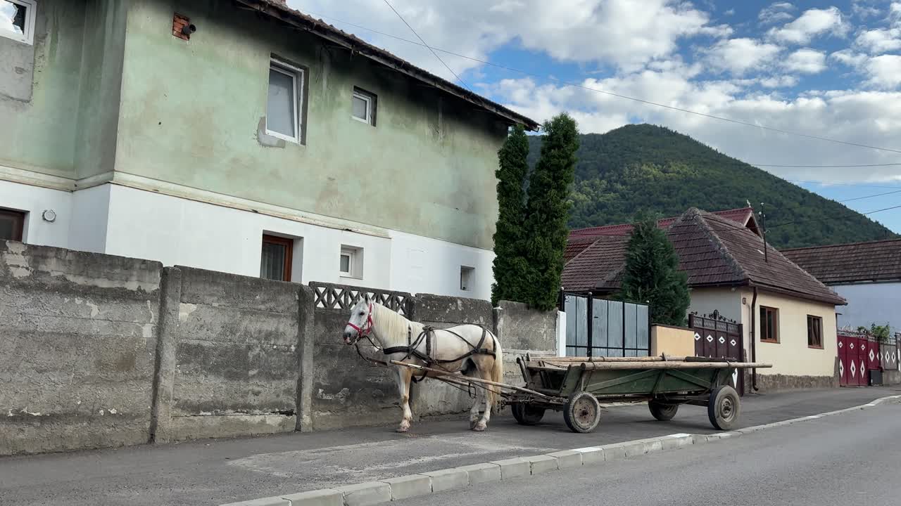 Horse-drawn carriage waiting on a little-traveled street in Transylvania