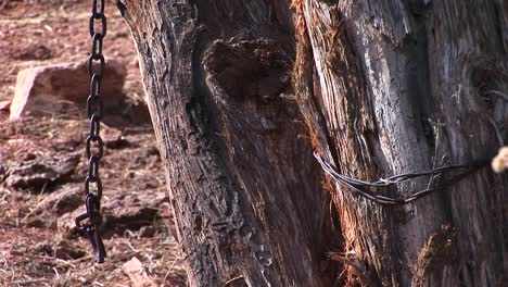 closeup of a chain hanging from the wood beams of an old western corral