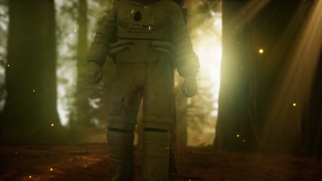 astronauta solitario en el bosque oscuro