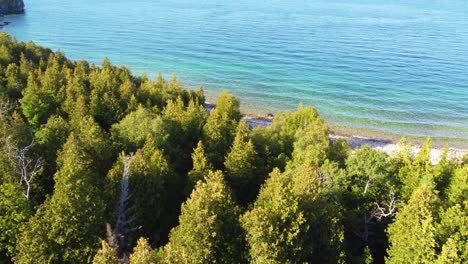 Aerial-drone-shot-passing-over-the-pine-trees-and-approaching-the-crystal-clear-beach-and-coastline-of-the-beautiful-Georgian-Bay,-Ontario,-Canada