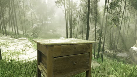 wooden table in serene bamboo forest illuminated by soft sunlight