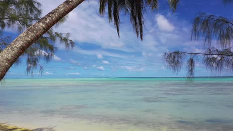 cook islands - aitutaki drone start from my bungalow towards the ocean