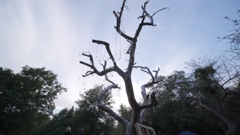 abstract tree silhouette at sunset