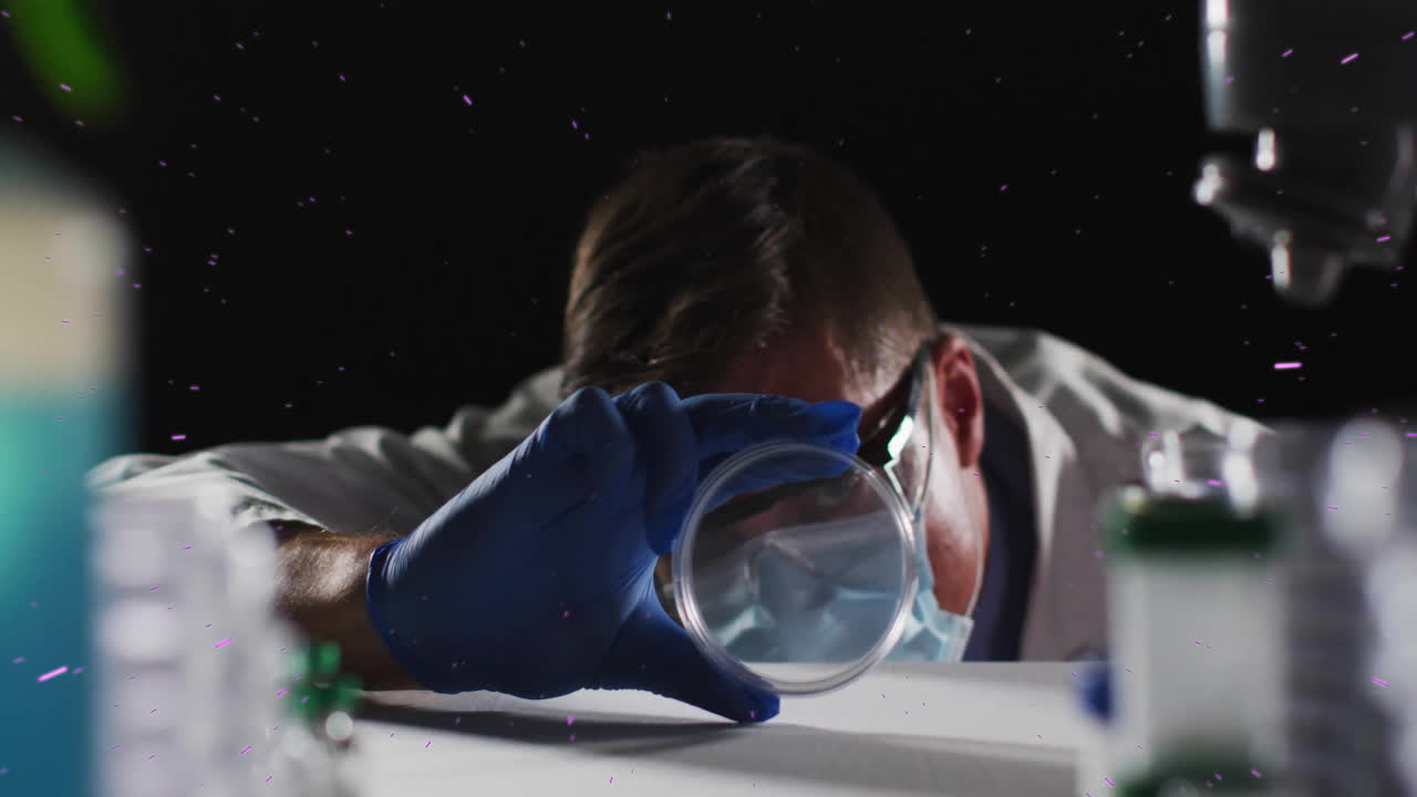 Examining petri dish closely, scientist working in laboratory with animation tools